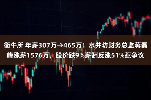 衡牛所 年薪307万→465万！水井坊财务总监蒋磊峰涨薪1576万，股价跌9%薪酬反涨51%惹争议