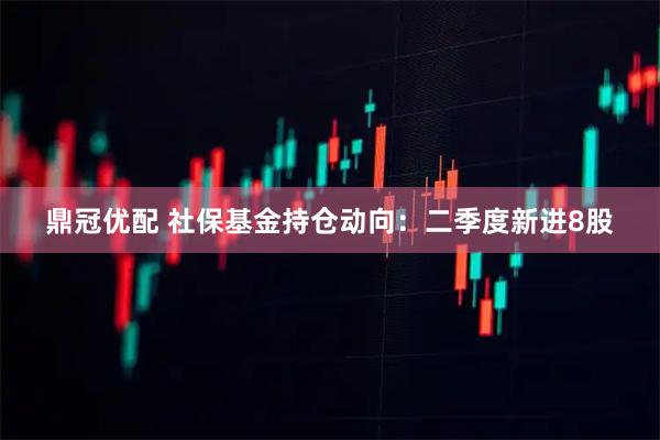鼎冠优配 社保基金持仓动向：二季度新进8股