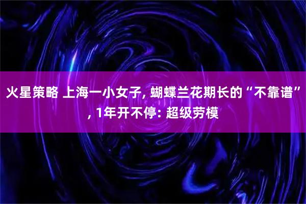 火星策略 上海一小女子, 蝴蝶兰花期长的“不靠谱”, 1年开不停: 超级劳模